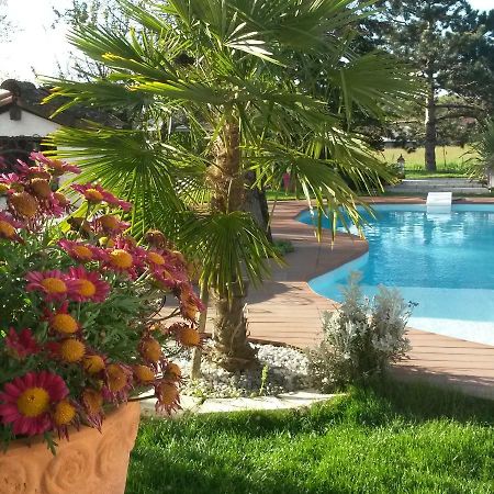 Le Clos De Saint Amour Montauban Dış mekan fotoğraf